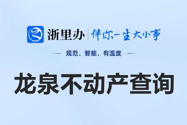 浙里办龙泉市不动产查询网