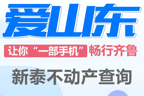 爱山东新泰市不动产查询网