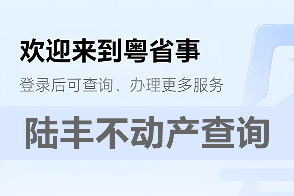 粤省事陆丰市不动产查询网